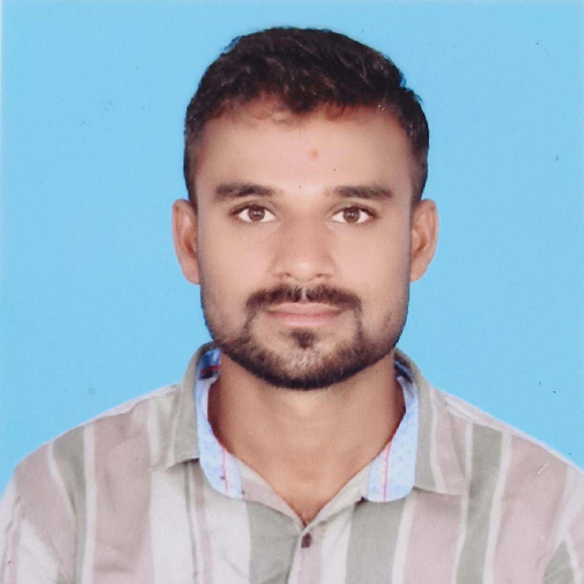 Faculty 3